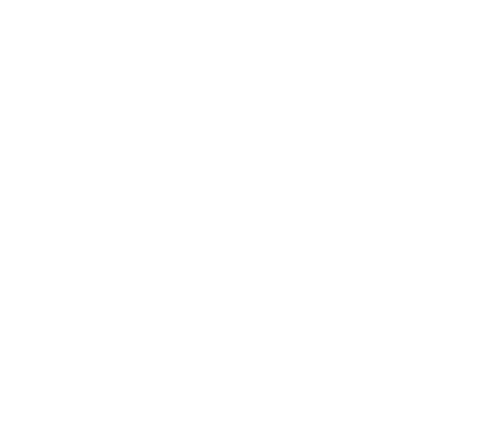 white specialty auto logo